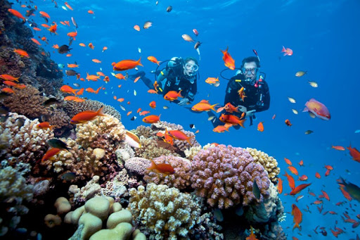 Raja Ampat: idylické indonéské souostroví 1