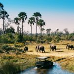 Vědci vystopovali původ moderního člověka v africké Botswaně 6
