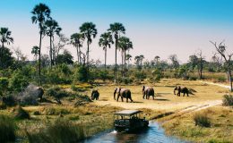 Vědci vystopovali původ moderního člověka v africké Botswaně 2