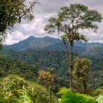 Ekvádor - města i pralesy 8