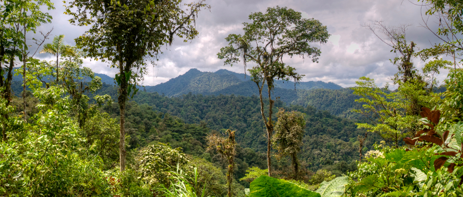 Ekvádor - města i pralesy 1