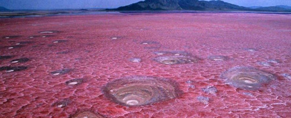Natronové jezero v Tanzanii 1