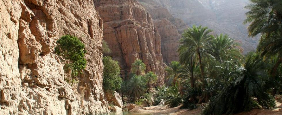 Vádí v Ománu – vertikální pouště 1