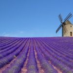 Některé atrakce francouzské Provence 18