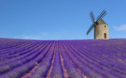 Některé atrakce francouzské Provence 4