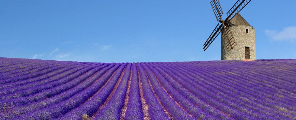 Některé atrakce francouzské Provence 1