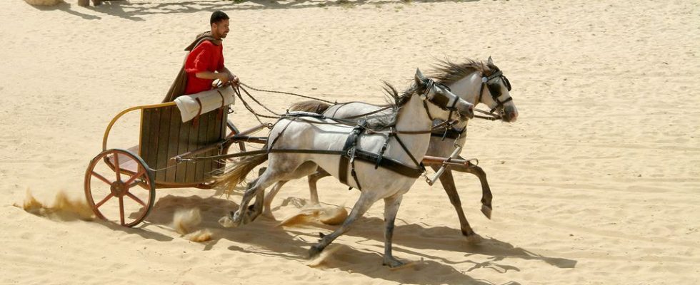 V Chorvatsku vykopali pohřbený římský vozík i s koňmi 1