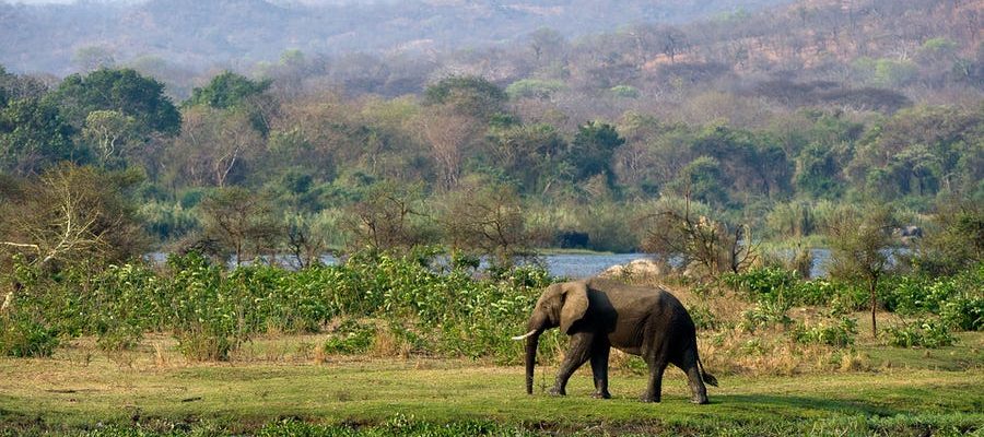 Malawi - nadějná příští safari destinace 1