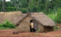 Středoafrická republika - nejméně navštěvovaný stát Afriky 10