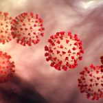 Koronavirus – co o něm zatím víme 9