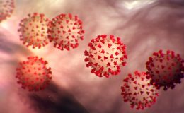 Koronavirus – co o něm zatím víme 8