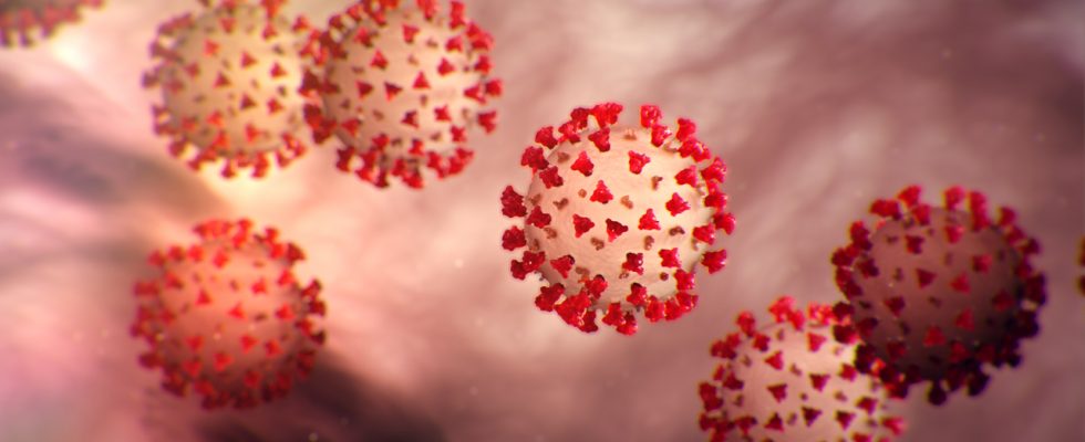 Koronavirus – co o něm zatím víme 1
