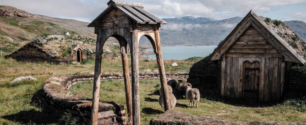 Vikingové přispěli k vyhynutí živočišných druhů 1