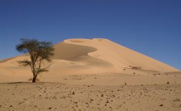 Niger - země vytvarovaná obchodními trasami 10
