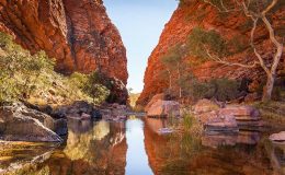 Alice Springs a okolí 6