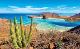 Mexický stát Baja California: víno, kovbojové a velryby 5