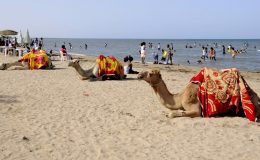 Eritrea 4