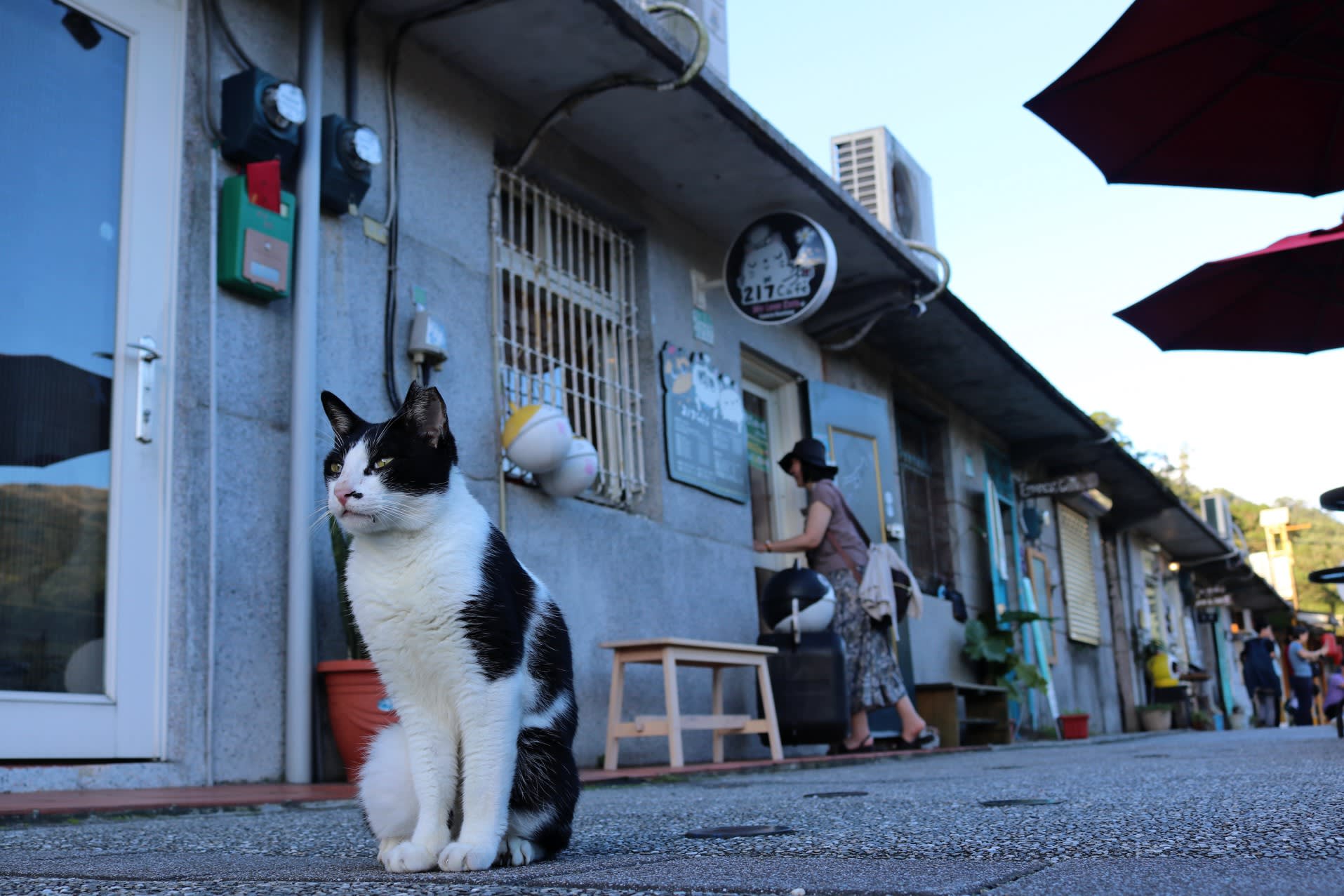 Kočičí vesnice Houtong na Taiwanu 2