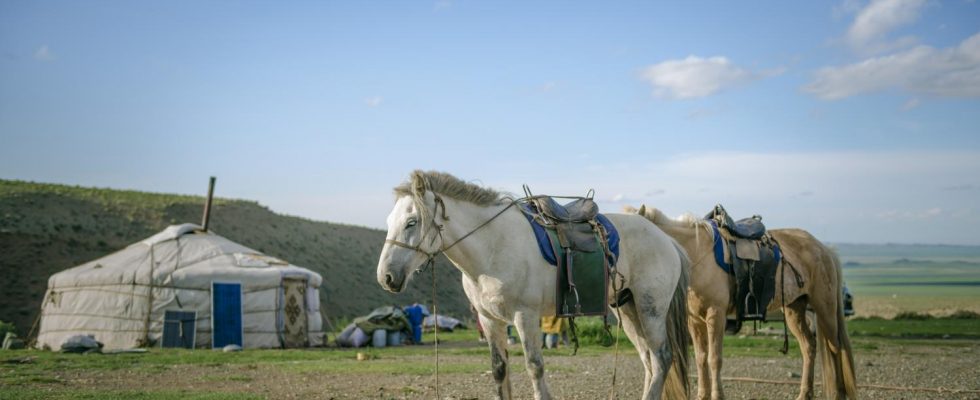 Scénárista John Fusco se vydal po Hedvábné stezce po stopách Marka Pola 1