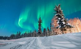 Fairbanks na Aljašce 3