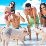 Který bahamský ostrov si vybrat pro dovolenou? 10