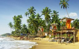 Hlavní turistické atrakce indického státu Goa 42