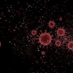 Evropa čelí „6 náročným měsícům“ při pandemii koronaviru 7