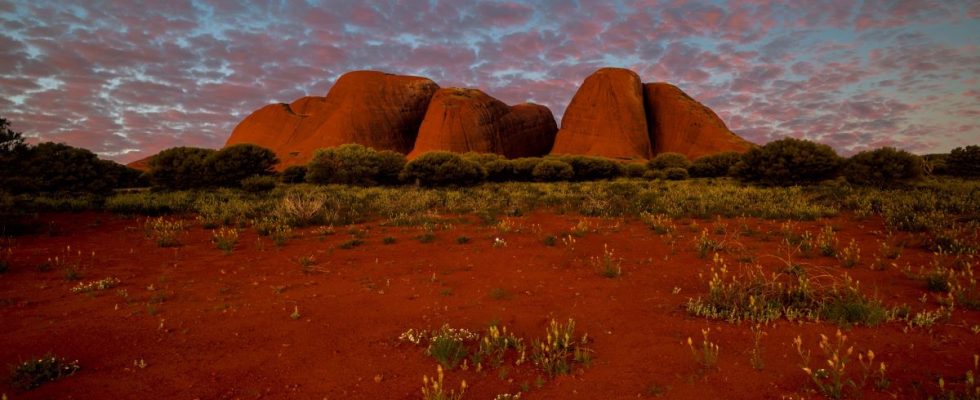 Australské vnitrozemí - Outback 1