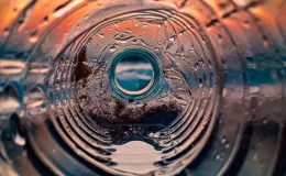 Superčervi se chovají jako „miniaturní recyklační stanice“ a žijí pouze z plastu 4
