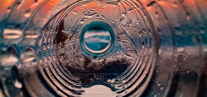 Superčervi se chovají jako „miniaturní recyklační stanice“ a žijí pouze z plastu 1