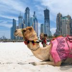 Hlavní turistické atrakce Spojených arabských emirátů 6
