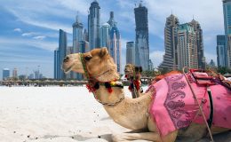 Hlavní turistické atrakce Spojených arabských emirátů 10