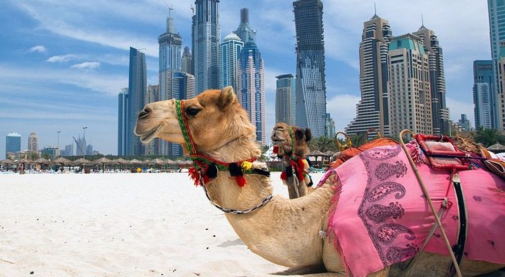 Hlavní turistické atrakce Spojených arabských emirátů 1