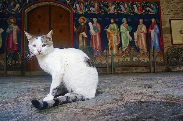 13 hlavních turistických atrakcí Kréty 2