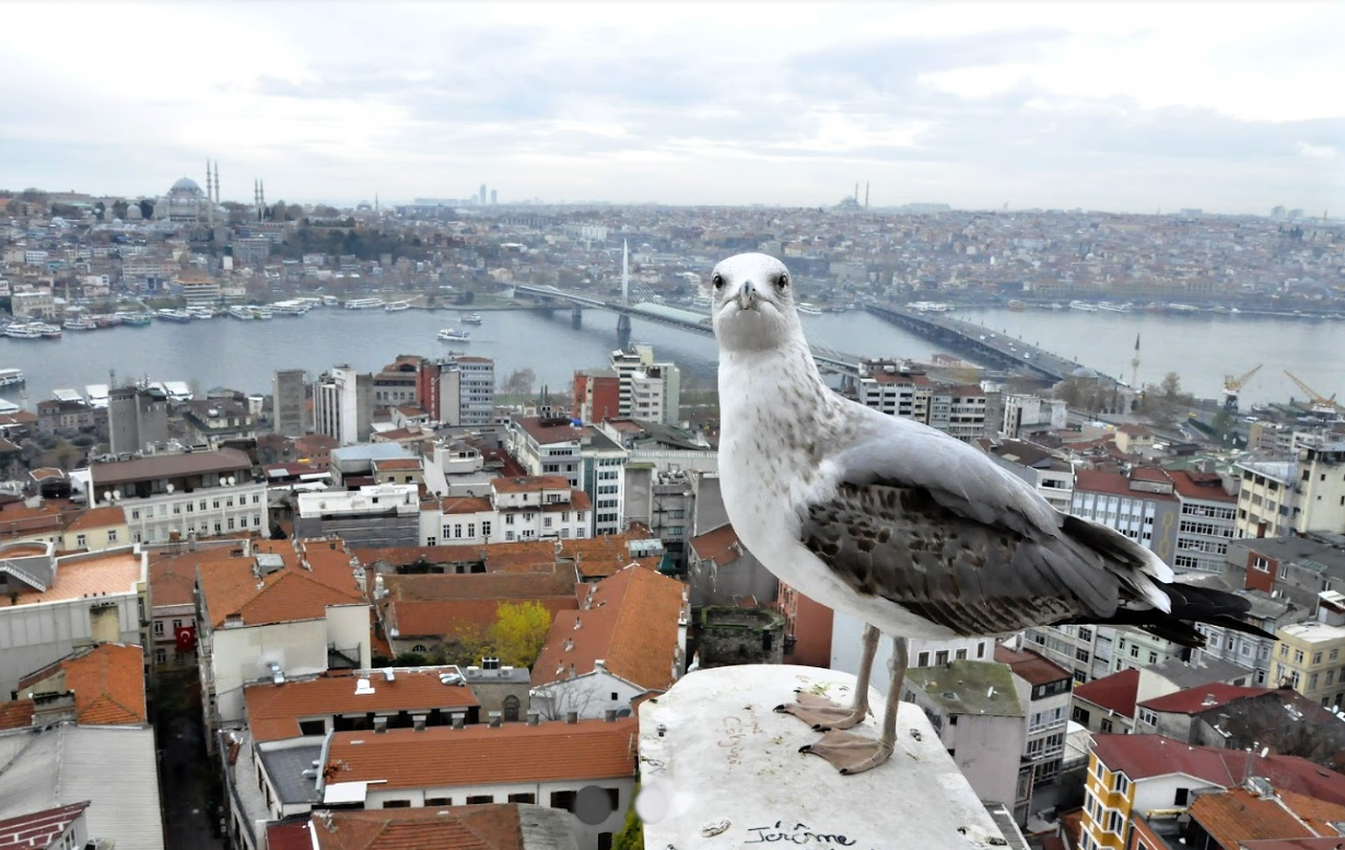 Istanbulské fotky, které vám popletou hlavu 9