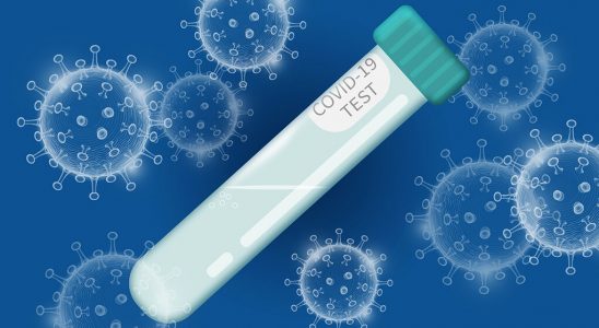 Potvrzení přesnosti testování ze slin na covid-19 2