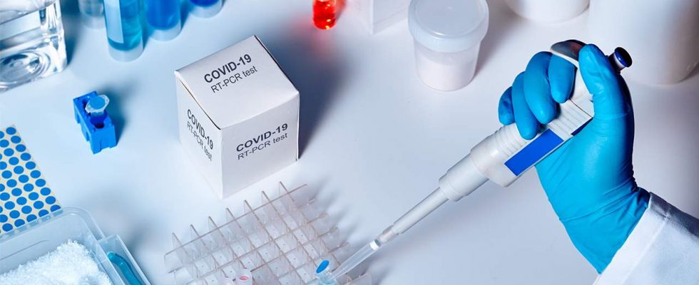 Koktejl protilátek mění hru a zabraňuje covid-19 u chronicky nemocných 1