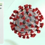 Rychlý test na COVID-19 IgM/IgG od Biopanda 6