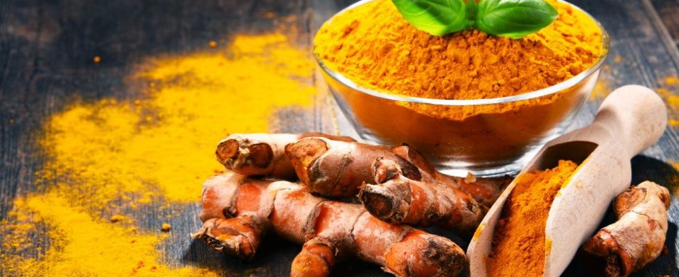 Kurkumin je potenciálním terapeutickým prostředkem proti variantě omikron 1