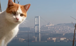 Co si nenechat ujít při návštěvě Turecka 1