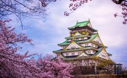 12 hlavních turistických atrakcí japonské Osaky 4