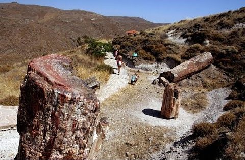 Lesbos – symfonie kultury, jídla a přírodních krás 2