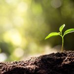 Co je to „net zero“ a jak jsou na tom různé země? 7