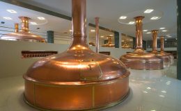 Jaké pivo je vyhlášeno ve Vídni? 37