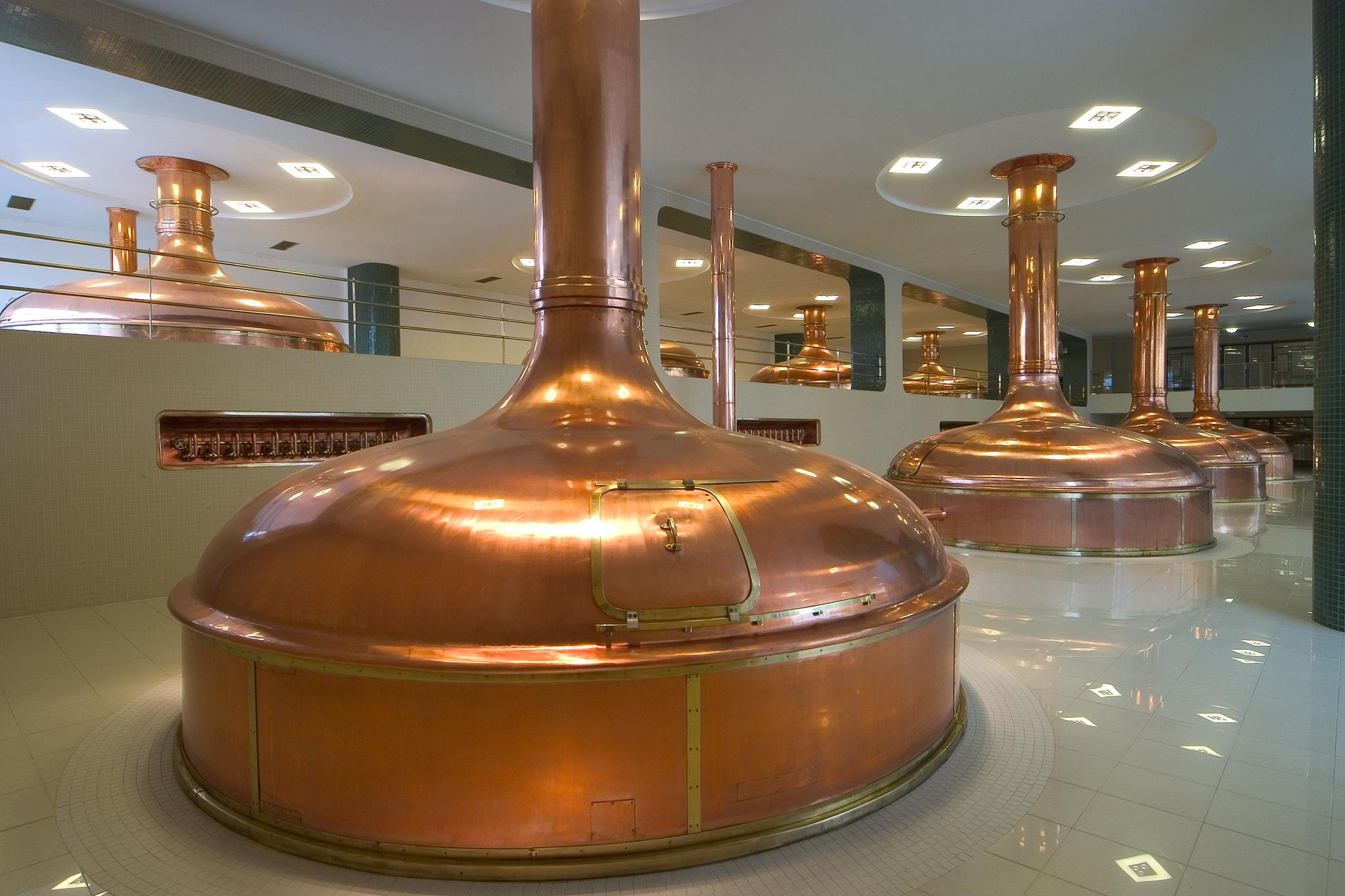 O plzeňském pivu (Pilsner) 1
