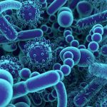 Viry, bakterie a plísně: jaký je mezi nimi rozdíl? 3