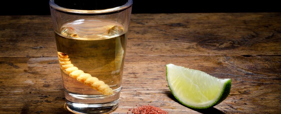 Mexický nápoj mezcal 1