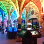 Návštěva Akvária SEA LIFE 9