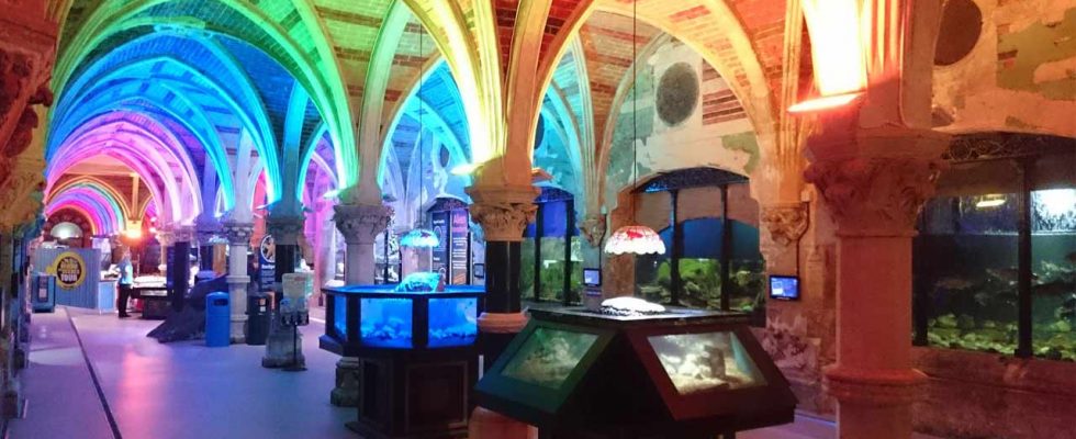 Návštěva Akvária SEA LIFE 1