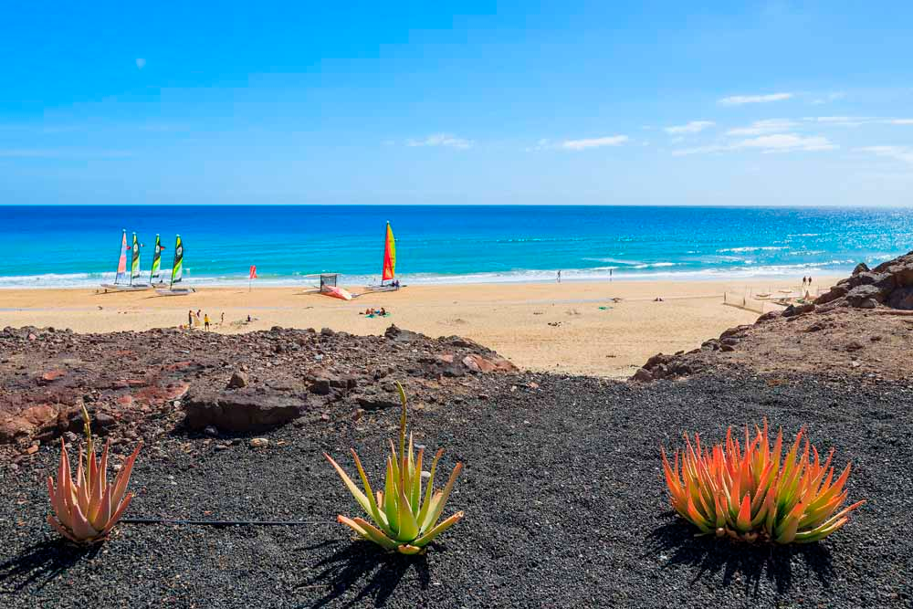 Kanárské ostrovy: Lanzarote nebo Fuerteventura? 1